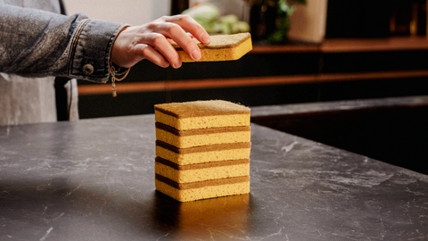 The Dirty Truth About Kitchen Sponges: a bacteria hotbed
