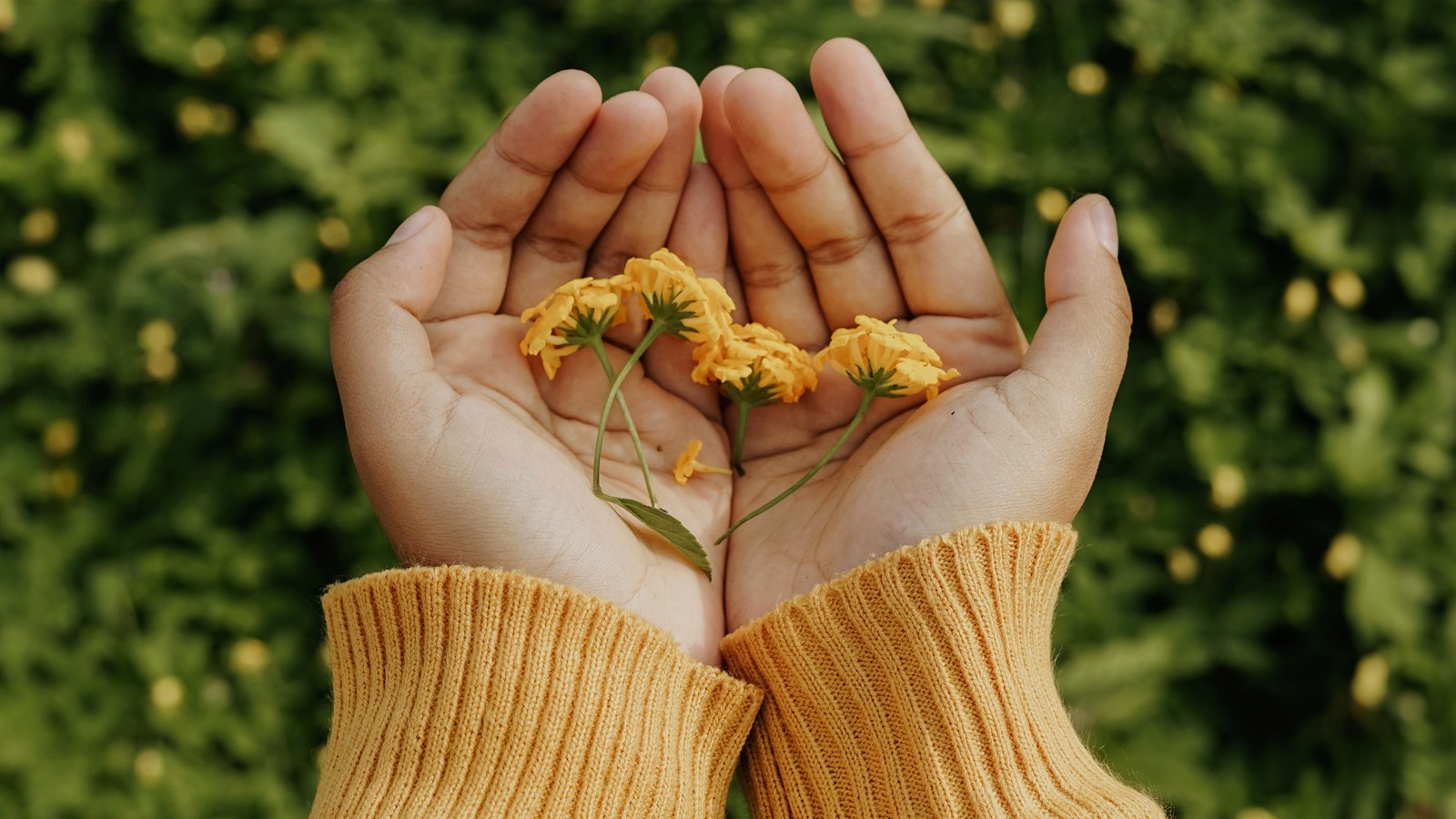 5 Eco Swaps You Can Make to Be More Sustainable - Vove