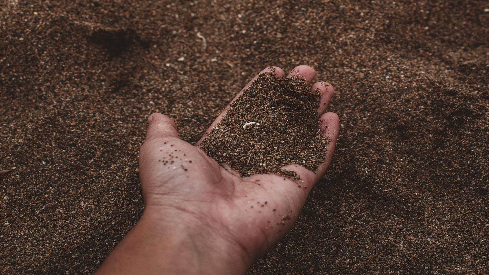 Decoding green terms: Biodegradable vs. Compostable