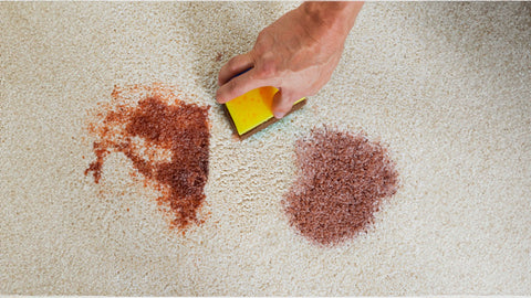 Chocolate Stain Removal from Carpets - Vove
