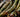 What is FSC certified bamboo? - Vove