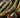 What is FSC certified bamboo? - Vove