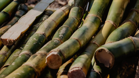 What is FSC certified bamboo? - Vove