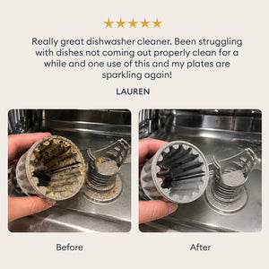 Dishwasher Cleaner Tablets: customer review with before and after photos of a dishwasher filter