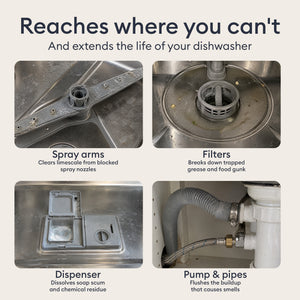 Dishwasher Cleaner Starter Set: spray arms, filter, dispenser and pump, the hard to reach parts the tablet cleans