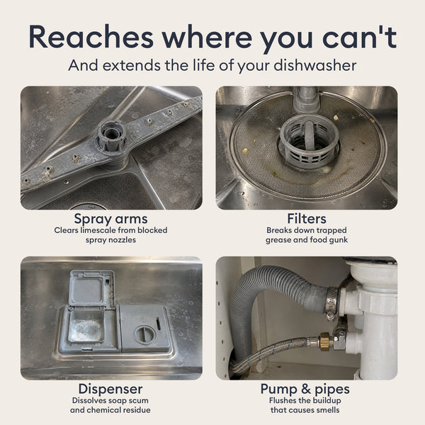 Dishwasher Cleaner Starter Set: spray arms, filter, dispenser and pump, the hard to reach parts the tablet cleans