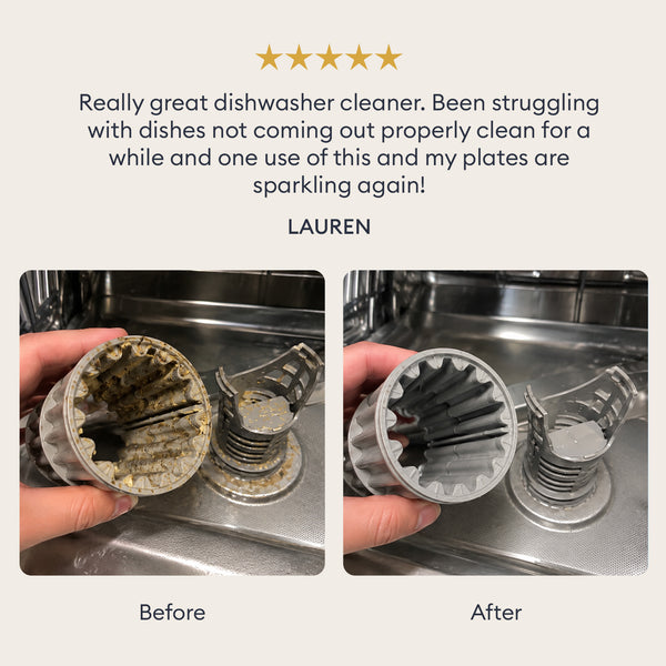 Dishwasher Cleaner Starter Set: customer review with before and after photos of a dishwasher filter