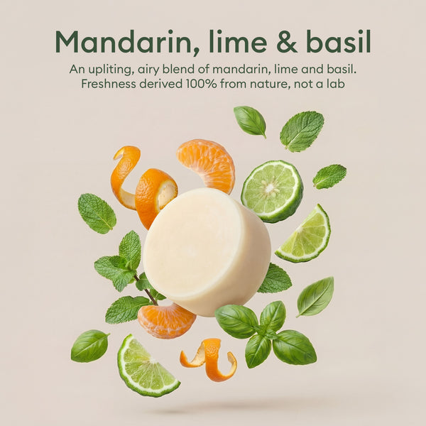 Dish Soap Bars: mandarin, lime and basil scent shown with the bar among citrus and herbs