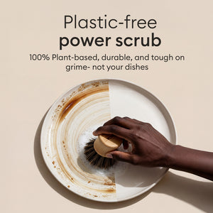 Cleaning Essentials: brush scrubbing a plate, plastic-free power scrub that is tough on grime