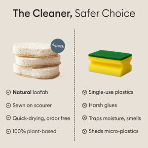 Sponge Scourers: natural loofah compared against a synthetic single-use sponge