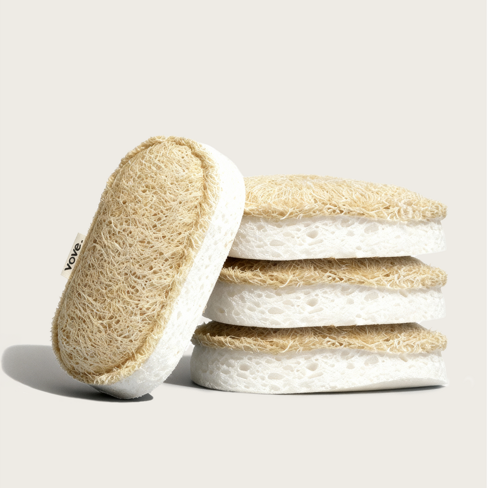 Sponge Scourers