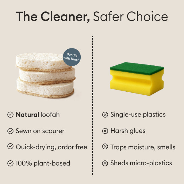 Cleaning duo: natural loofah compared against a synthetic single-use sponge