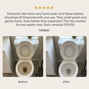 Probiotic Toilet Bowl Cleaner Tablets: customer review with before and after photos of a toilet bowl