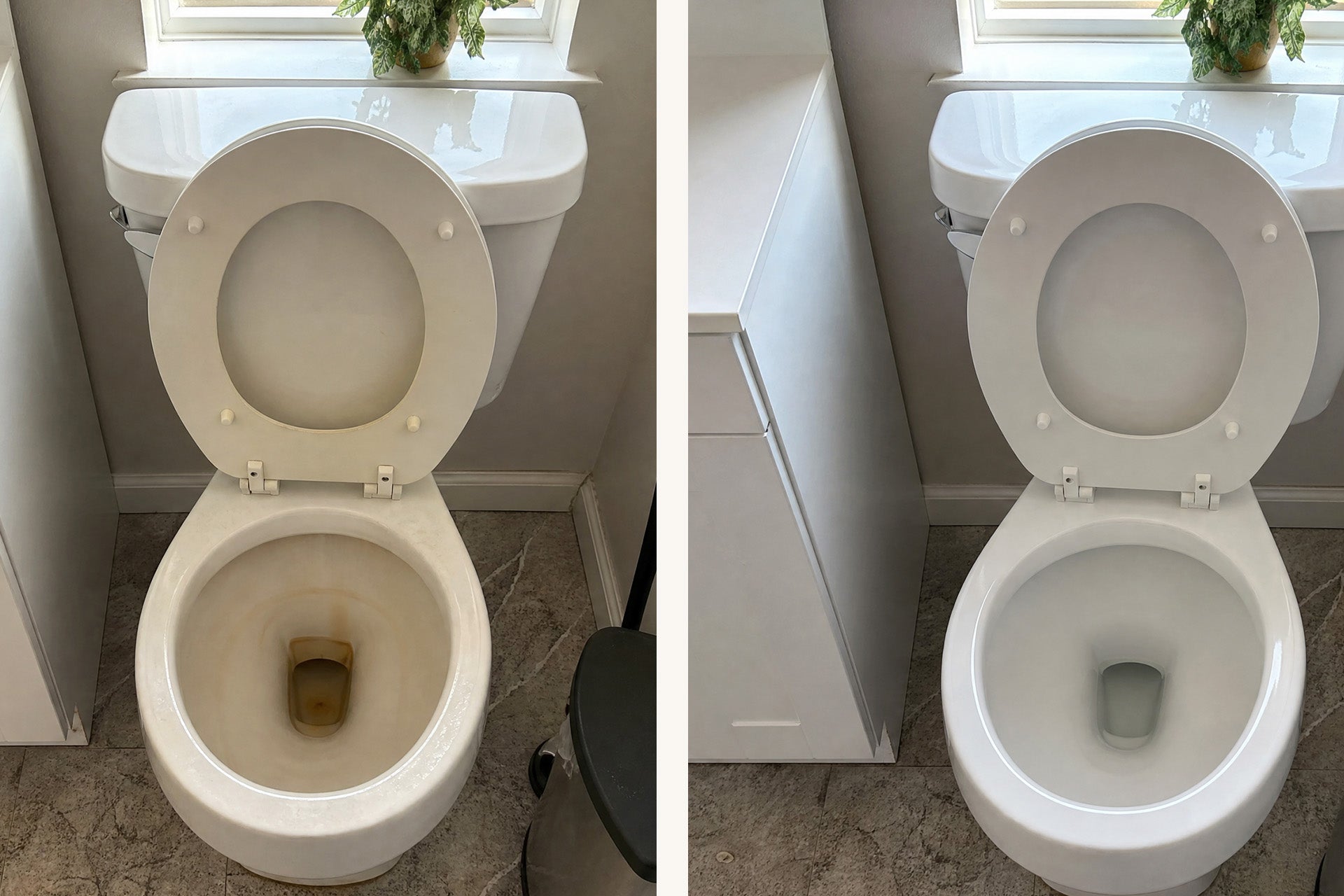 Probiotic Toilet Tablets customer review 1