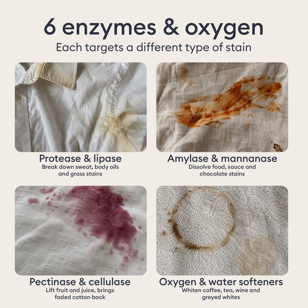 Laundry Essentials: four stained fabrics, six enzymes and oxygen that each target a different type of stain