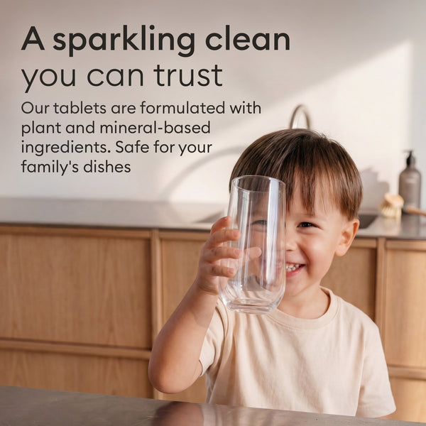 The Home Detox