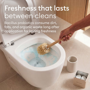 The Home Detox