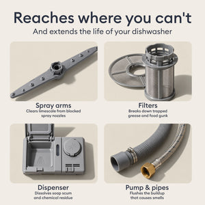 The Whole-Home Detox: spray arms, filter, dispenser and pump, the hard to reach parts the tablet cleans
